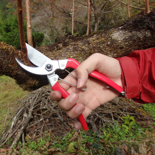  剪定鋏S型8インチ120S-8商品画像