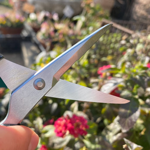 アルスヌーボー3000商品画像