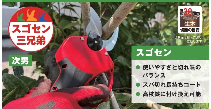 スゴセンの全体画像