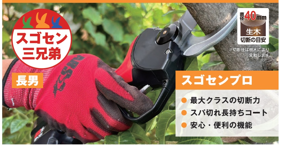 スゴタカの全体画像