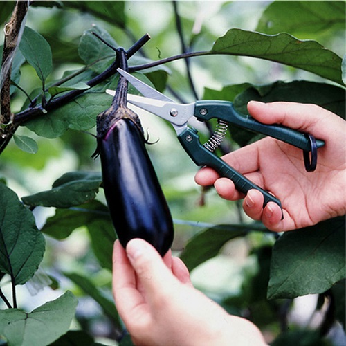 GC-SE-45商品画像