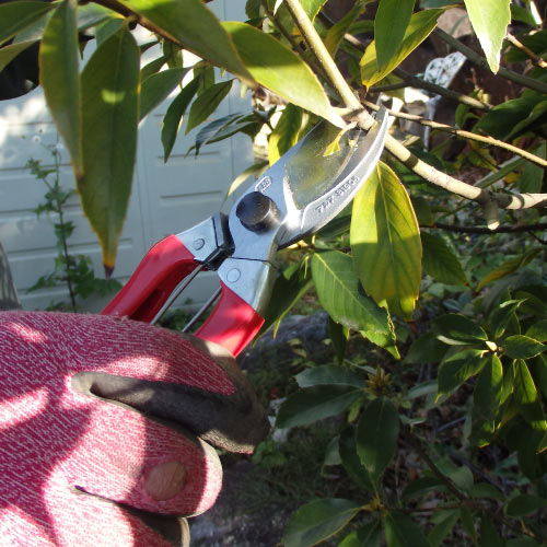  剪定鋏S型8インチ120S-8商品画像