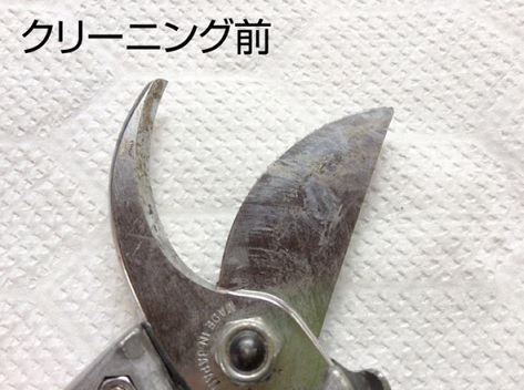 刃物クリーナーを使用する前の剪定ばさみ