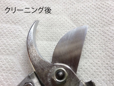 汚れを拭き取ってきれいになった剪定ばさみ