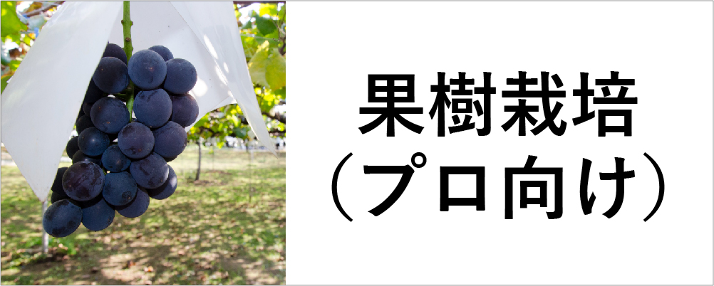 果樹剪定・収穫