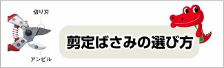アルス公式サイト「剪定ばさみの選び方」へのリンクボタン