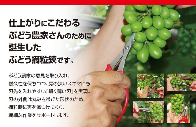 ぶどう摘粒鋏について