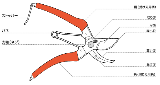剪定ばさみの各部名称