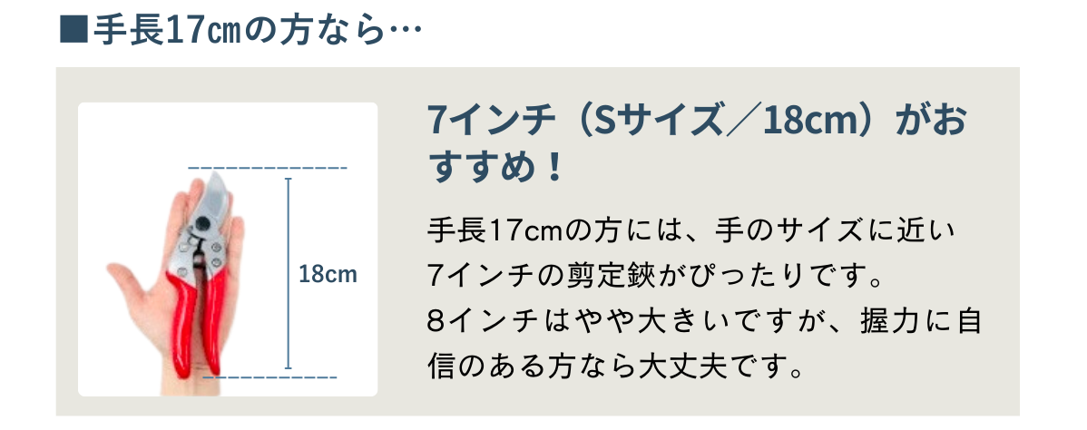 手長17cmのおすすめ