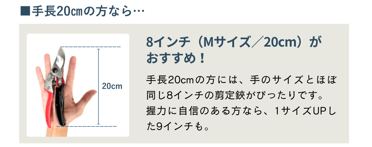 手長20cmのおすすめ