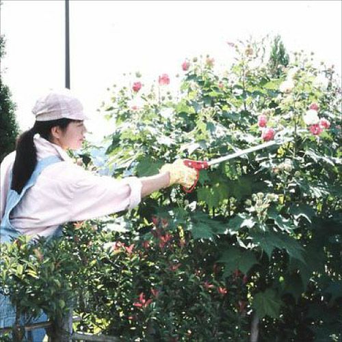 園芸鋏 花パッチン 150-0.6D｜アルス《公式》園芸刃物ショップ