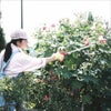 園芸鋏 花パッチン150-0.6D