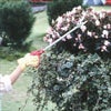 園芸鋏 花パッチン150-0.6D