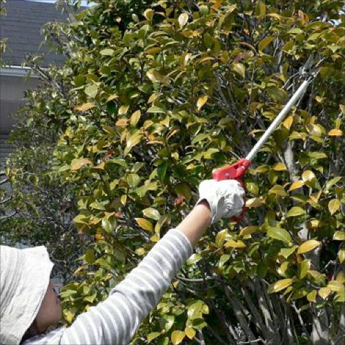 花パッチン150-0.6D商品画像