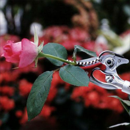 園芸鋏 花パッチン150-0.6D商品画像