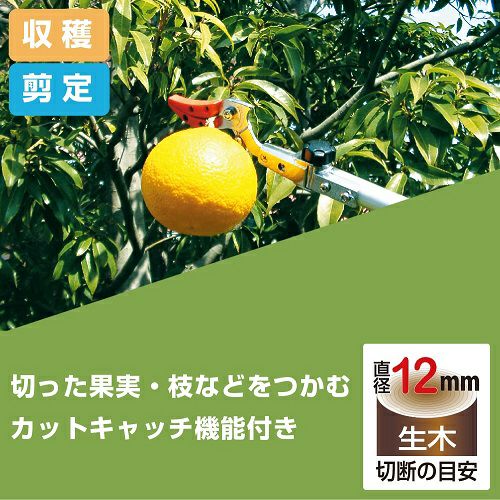 【特価セール】アルスコーポレーション 伸縮式高枝鋏 ズームチョキチルトアール 剪 伸縮式高枝鋏ズームチョキチルトR採収タイプショート 2.0160ZTR-2.0-3D