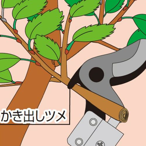 太枝切り鋏タフロッパー 1.5185-1.5D｜アルス《公式》園芸刃物ショップ