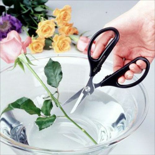 アルスヌーボーダブル3100商品画像