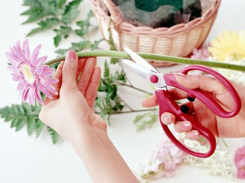 Ｇクラシックガーデニング鋏商品画像