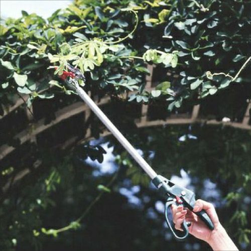 Gクラシック】花パッチン GC-150-0.6｜アルス《公式》園芸刃物ショップ