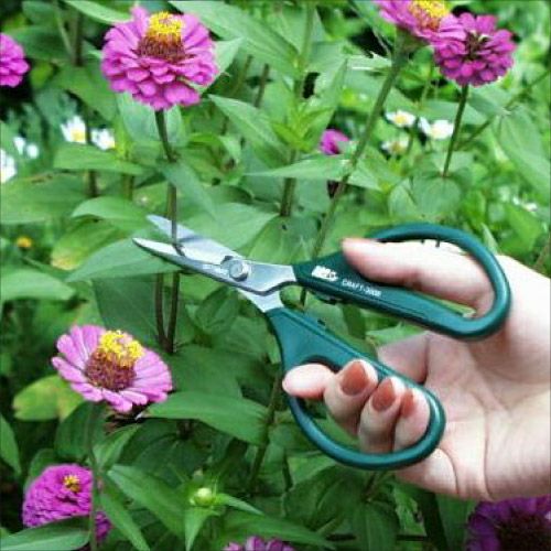 Ｇクラシックガーデニング鋏商品画像