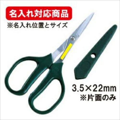 あき出品　3枚 TEA CLOSET triplets 緑茶 3g×3P｜秋月園オンラインショップ｜緑茶、和