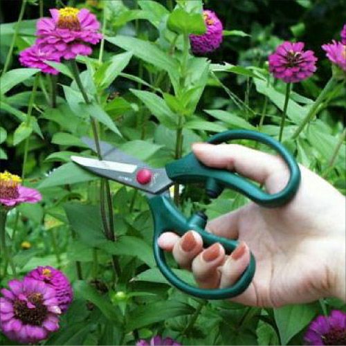 Ｇクラシックガーデニング鋏商品画像