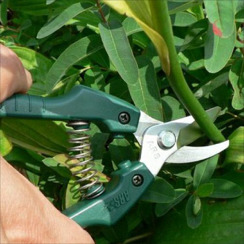 GC-SE-30商品画像