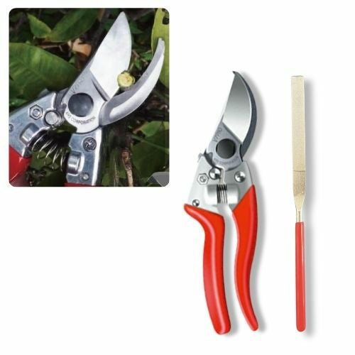 ダイヤモンドやすり付き