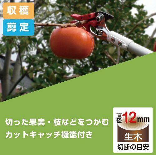 超軽量伸縮式高枝鋏ライトチョキズーム 150Z-3.0-5D｜アルス《公式
