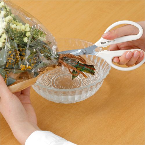 アルスヌーボー3000商品画像