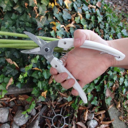 ファミリーデラックス140DX商品画像