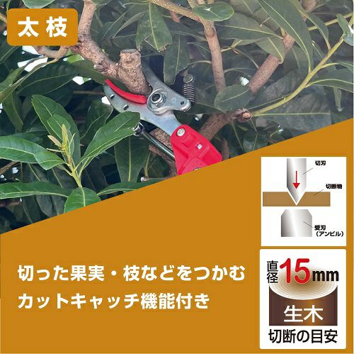 アルス 伸縮高枝鋏ズームチョキKタイプアンビルつかみ付 184ZKA-3.0-5D