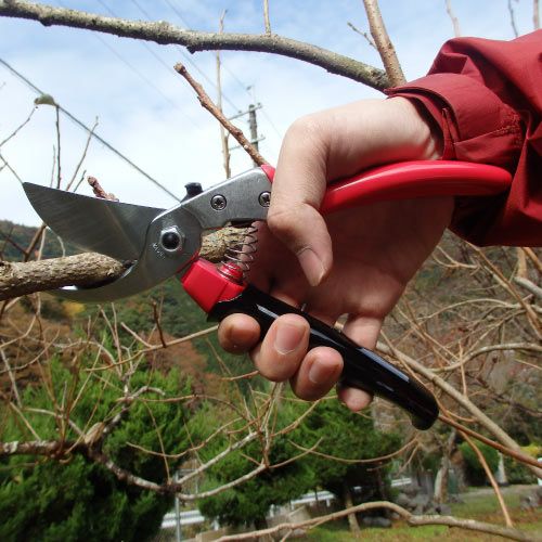 回転式グリップ