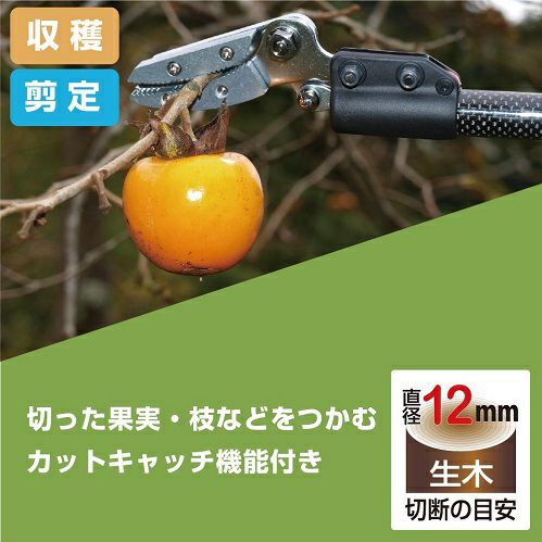 超軽量プロ用高枝鋏 カーボンチョキ 採収タイプ 160PCC-1.8D｜アルス