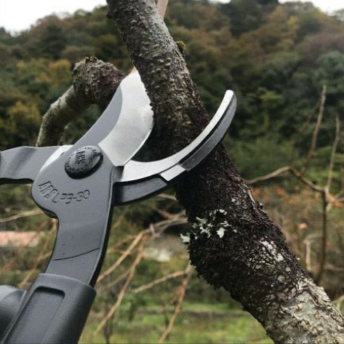 【特価商品】アルス 太枝切り鋏 ロッパー LPB-30M Amazon | アルスコーポレーション 太枝切り鋏 ロッパー LPB-30L | 園芸