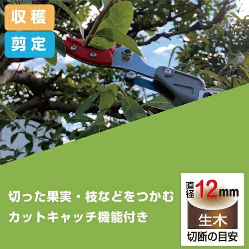 軽量伸縮式高枝鋏ズームチョキエコノ採収タイプ 160ZD-3.0-3D｜アルス