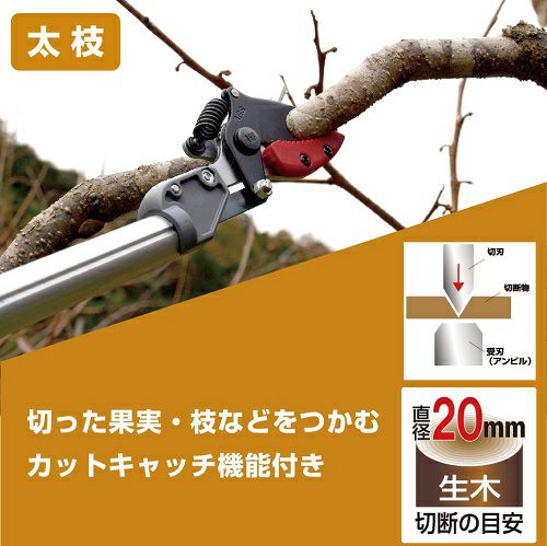 伸縮式高枝鋏ズームチョキ倍力 アンビルつかみ付 184WZ-2.9-5D｜アルス