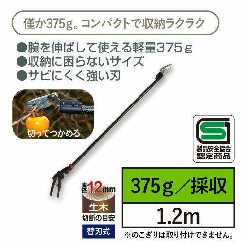 本体写真