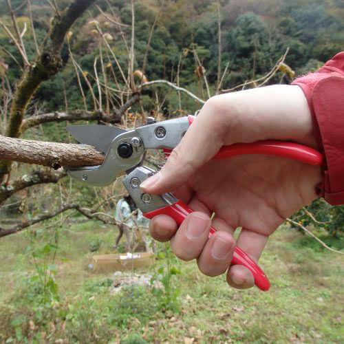 アンビル剪定鋏ブイエーセブン VA-7Z｜アルス《公式》園芸刃物ショップ