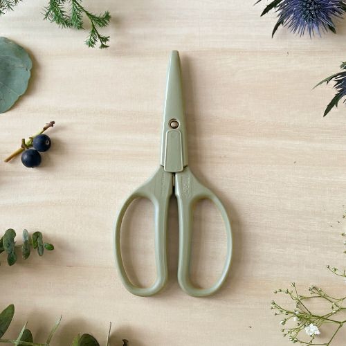 クラフトチョキ アボカド