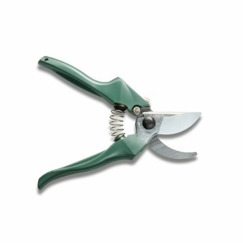 剪定鋏エフビーセブングリーン