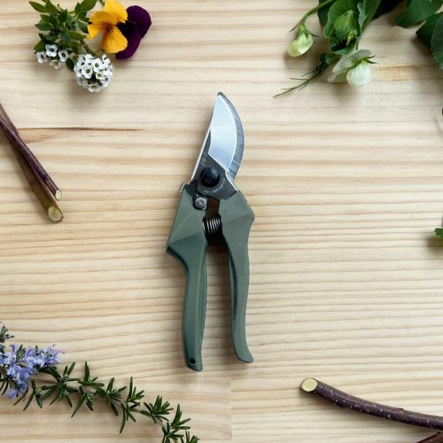 剪定鋏エフビーセブングリーン