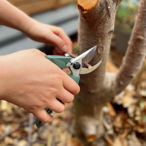 剪定鋏エフビーセブングリーン