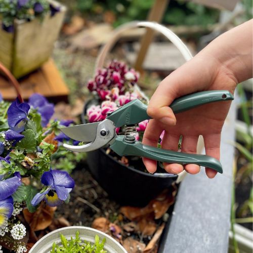 剪定鋏 エフビーエイト グリーンFB-8G