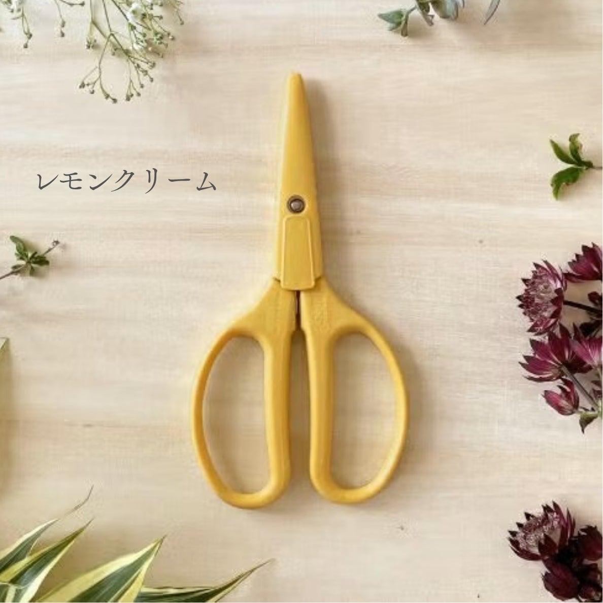 新カラー発売＆クーポンお届け開始／クラフトチョキ限定カラー本日発売